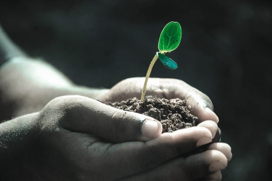 Consumo di risorse naturali ed economia circolare