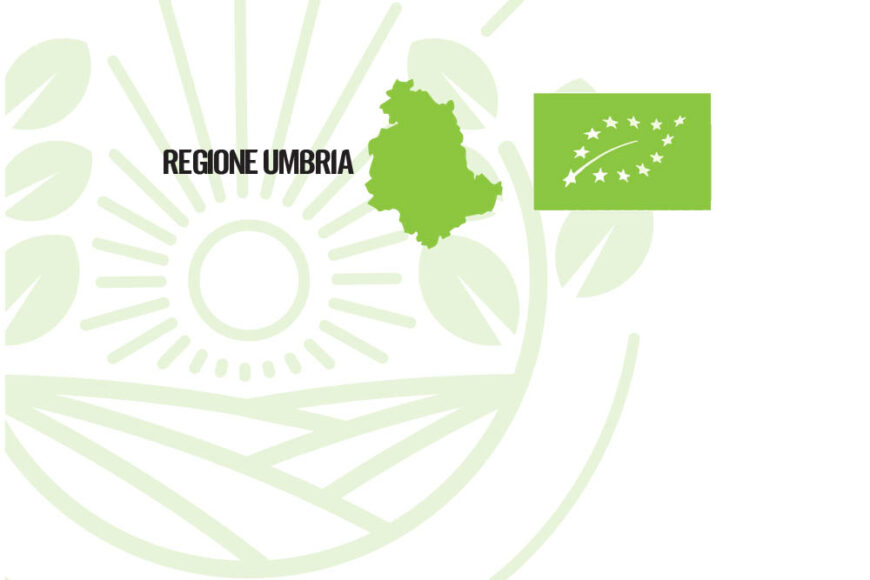 Focus su aziende ed esperienze di agricoltura biologica